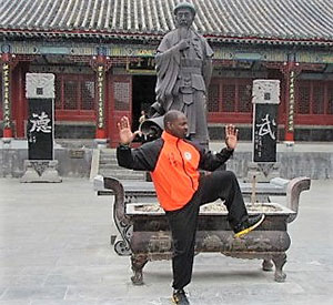 Taiji & Qigong Styles